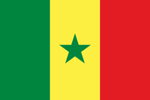 ECOWAS Browncard - Nigeria National Bureau